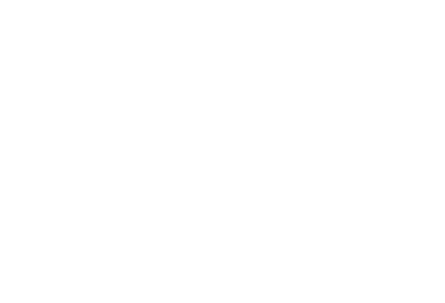 Hofman Pavel