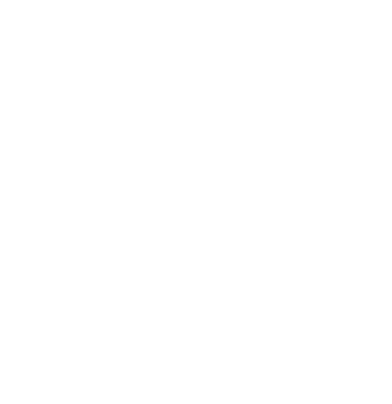 Pizza Bistro